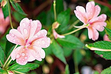 冒险视觉小说《由善意》推出试玩Demo 正式版6月发售